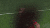 Here I Am Zlatan GIF by FC Red Bull Salzburg