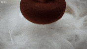 Australia Dessert GIF by MasterChefAU
