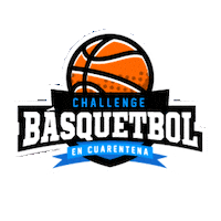 Basquetbol Sticker by LincolnCollegeChile