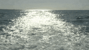water waves GIF by South Park 