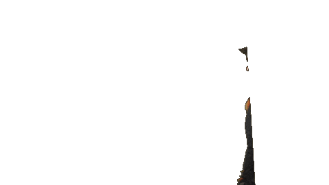 Petrolhead Sticker by MotorsportschoolZolderBE