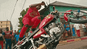 don't make me wait jamaica GIF by Sting & Shaggy