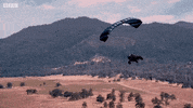 bbc series 25 GIF by Top Gear