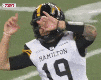 Cats Celebrate GIF