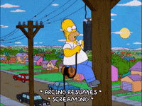homer simpson GIF
