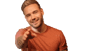 Chicken Sunshine Sticker by Liam Payne