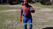 Spider Man No GIF