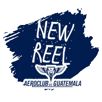 Aviation Sticker by aeroclubguatemala