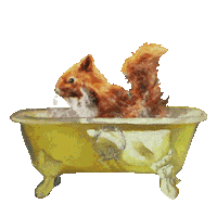 Happy Dance Sticker by What's the GIF