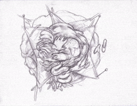 GIF by Alex Boya