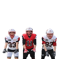 stuttgartscorpionssisters sisters stuttgart americanfootball scorpions Sticker