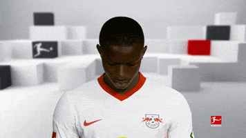 Line Up Smile GIF by Bundesliga