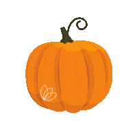 Pumpkin Spice Halloween Sticker by Timberlake Church