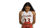 ElonPhoenixAthletics elon phoenix elon basketball Sticker
