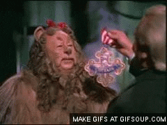 lion gets GIF