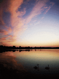 virtart_gallery sea sunset clouds alone GIF