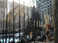 instagram drama GIF by Dianna McDougall