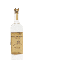 Party Drink Sticker by Mezcal Piedra del Santo