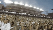 Waving Texas Am GIF by Texas A&M University