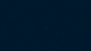 ver formula 1 GIF by Red Bull Racing