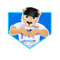 mexico obregon Sticker by Yaquis de Obregón
