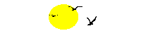 suns STICKER