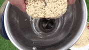 ExperimenMeatGrinder meat experiment grinder meat grinder GIF