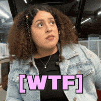 What The Hell Wtf GIF