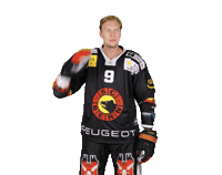 Scb Sticker by SC Bern