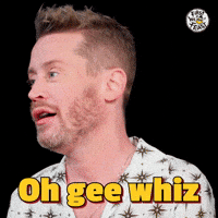 Sarcastic Chicken Wings GIF by First We Feast