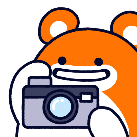 Photo Camera GIF