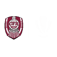 Liga 1 Football Sticker by Superliga Romania