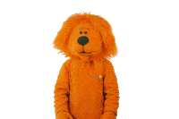 happy football Sticker by ING-DiBa Austria