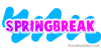 spring break Sticker
