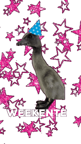 Weekend Duck Sticker