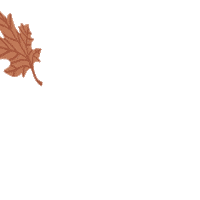 Maple Leafs Fall Sticker