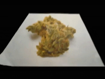 Weed Wtf GIF by Mr Tronch