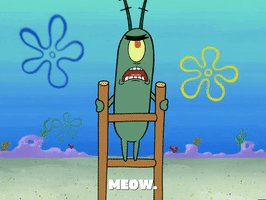 season 5 episode 20 GIF by SpongeBob SquarePants