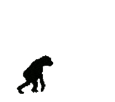 tchouk_cdf giphyupload tbcc tchoukball tchouk Sticker