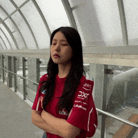 Ferrari GIF