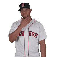 Red Sox Baseball Sticker by Boston Red Sox