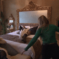 Friends Jumping GIF by The Bachelor