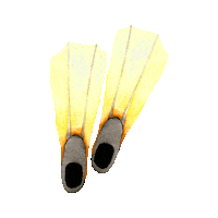 Diving Fin Sticker by jvbpatterns