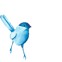 Bird Sticker by jvbpatterns