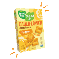 RealFood_FromTheGroundUp vegan plant based gluten free cheddar Sticker