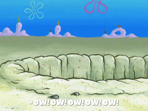 episode 1 accidents will happen GIF by SpongeBob SquarePants