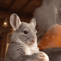 Pizza Sue GIF