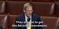 House Of Representatives GIF by GIPHY News