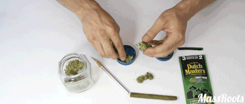 blunt GIF