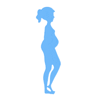 xoacademia dieta emagrecer em casa xoacademia xô academia Sticker
